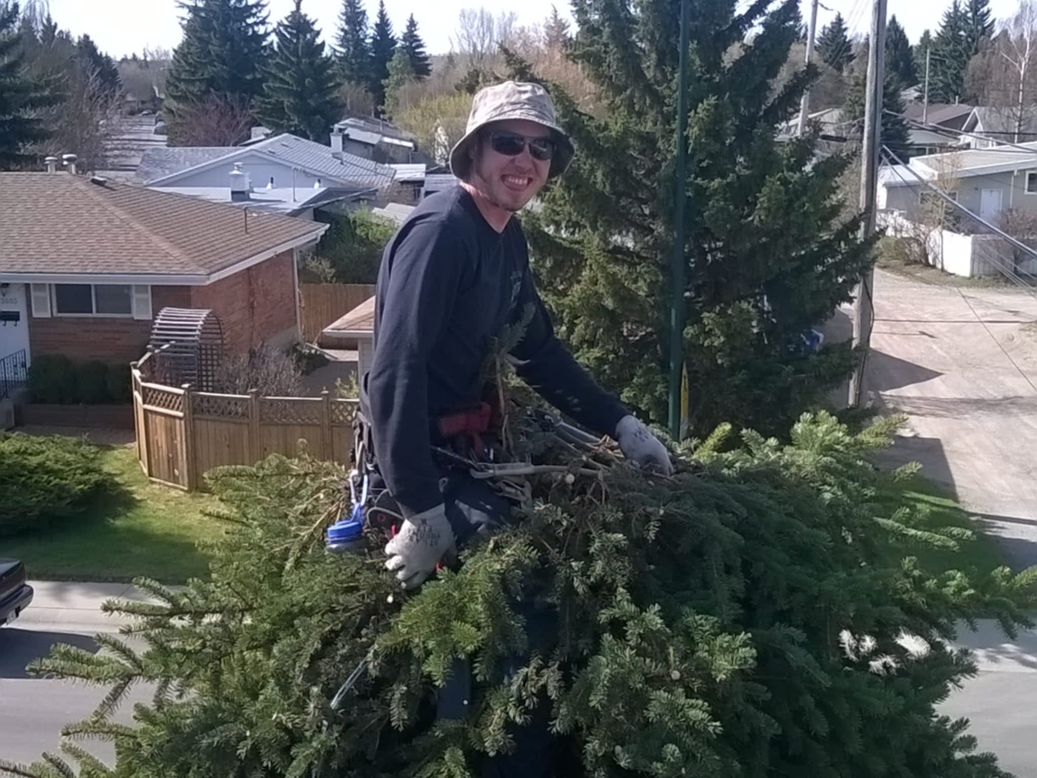 photo Black Bird Arborist