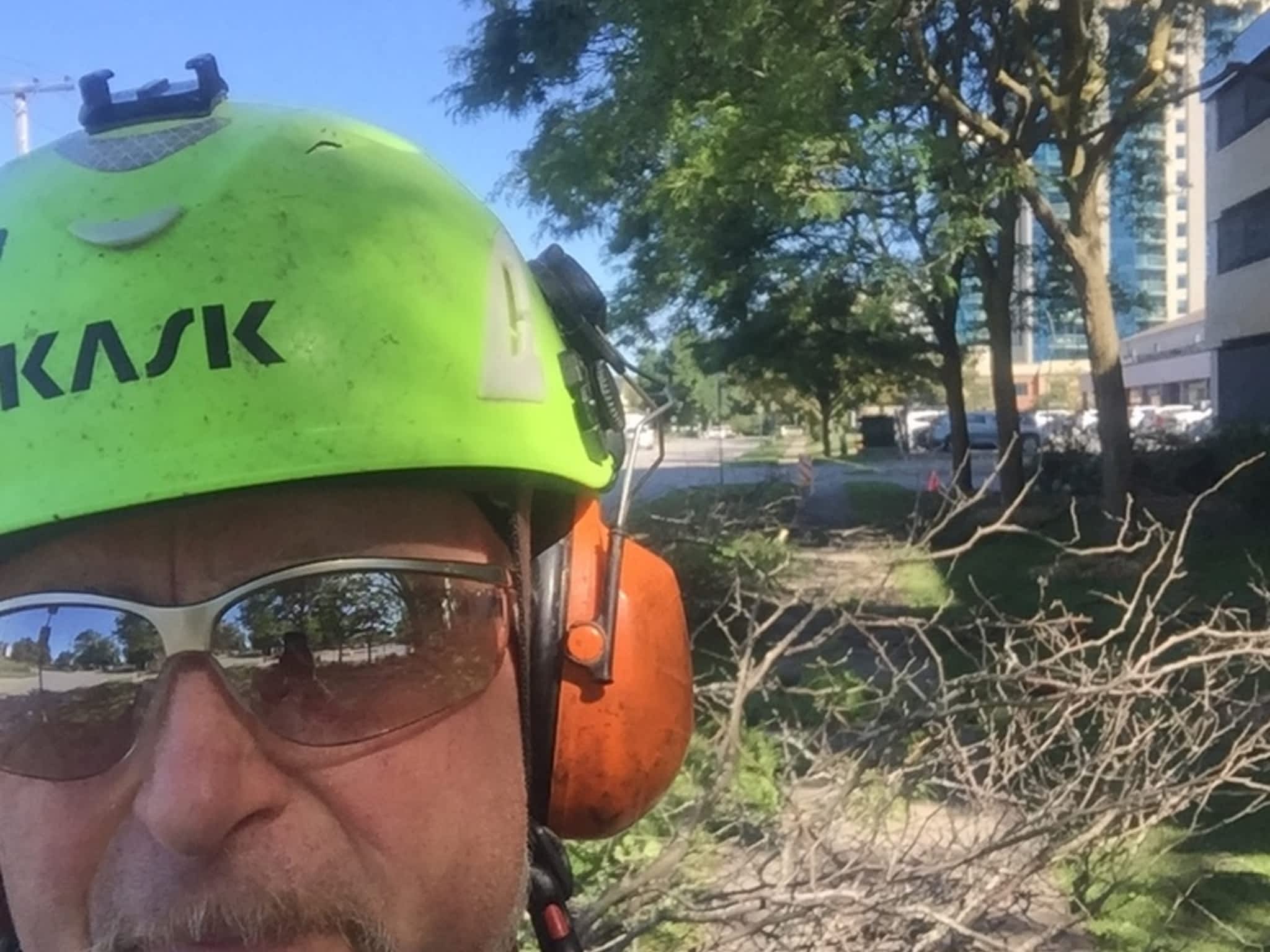 photo Zen Tree Care Consulting Inc