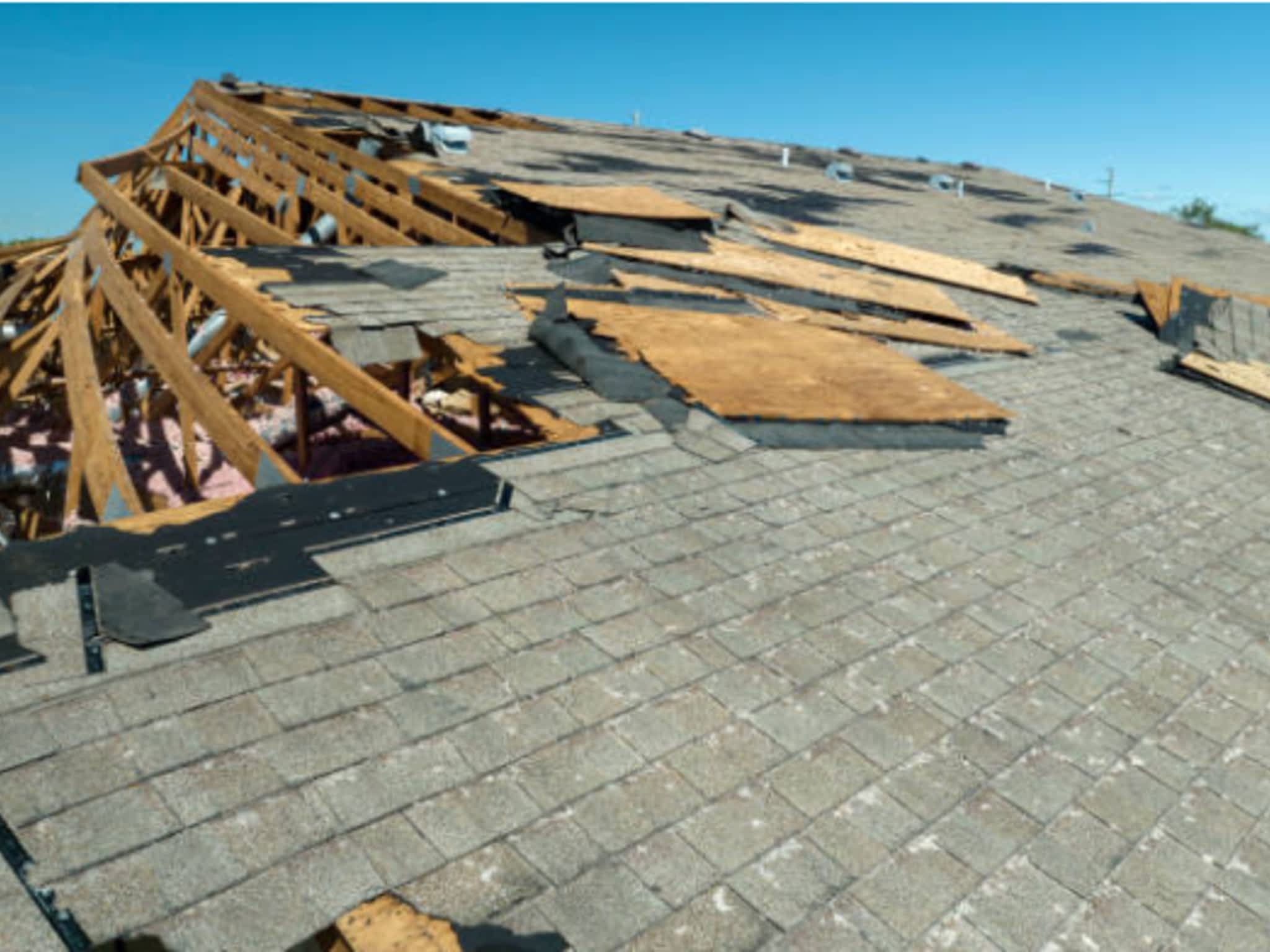 photo Project TreeHouse