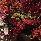 Fleurs de mon Jardin et des Champs - Décorations de noël