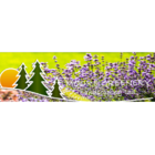 Moore Greenery Landscaping Ltd - Landscape Contractors & Designers
