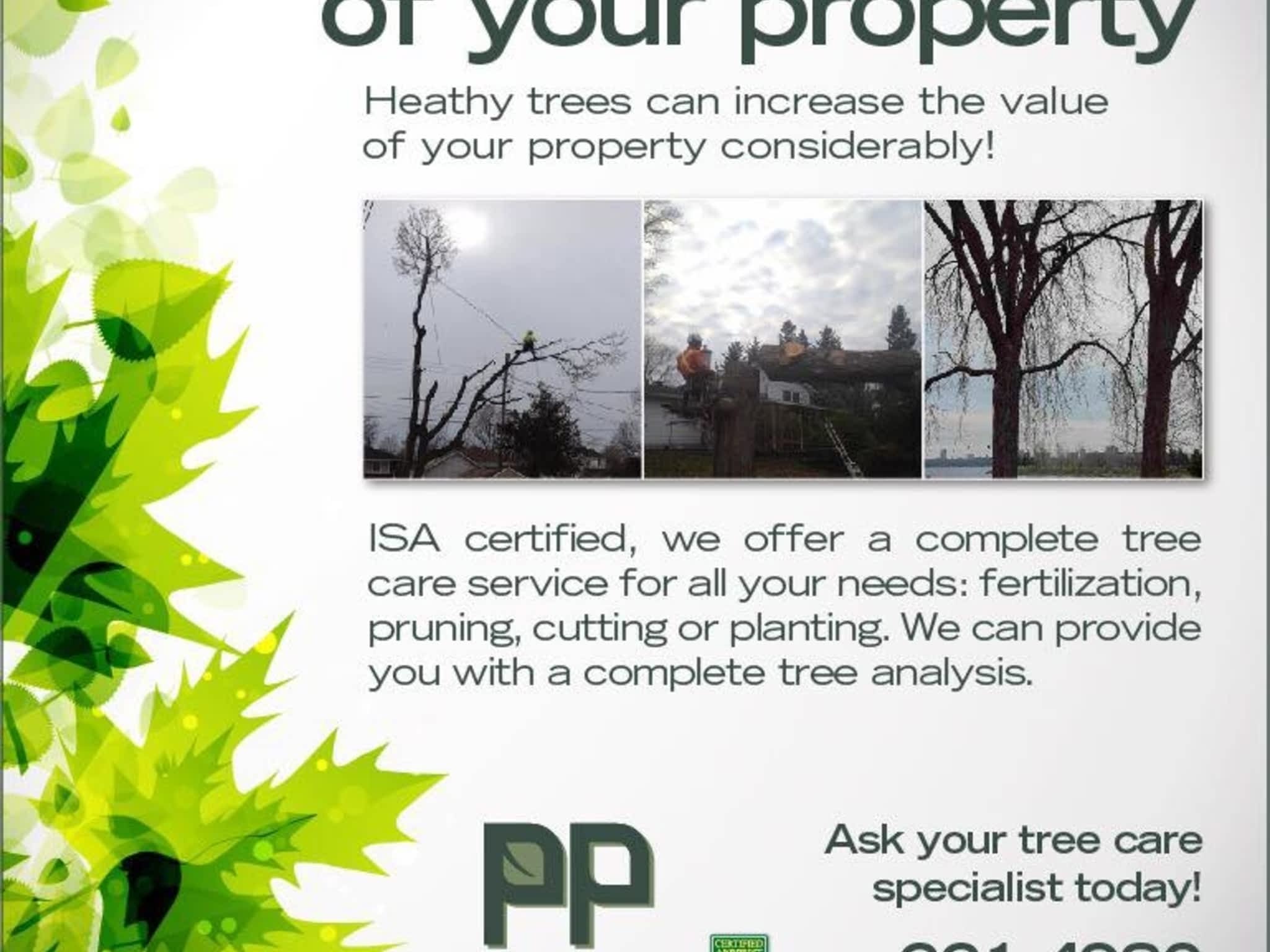 photo Emondage Patrick Perron