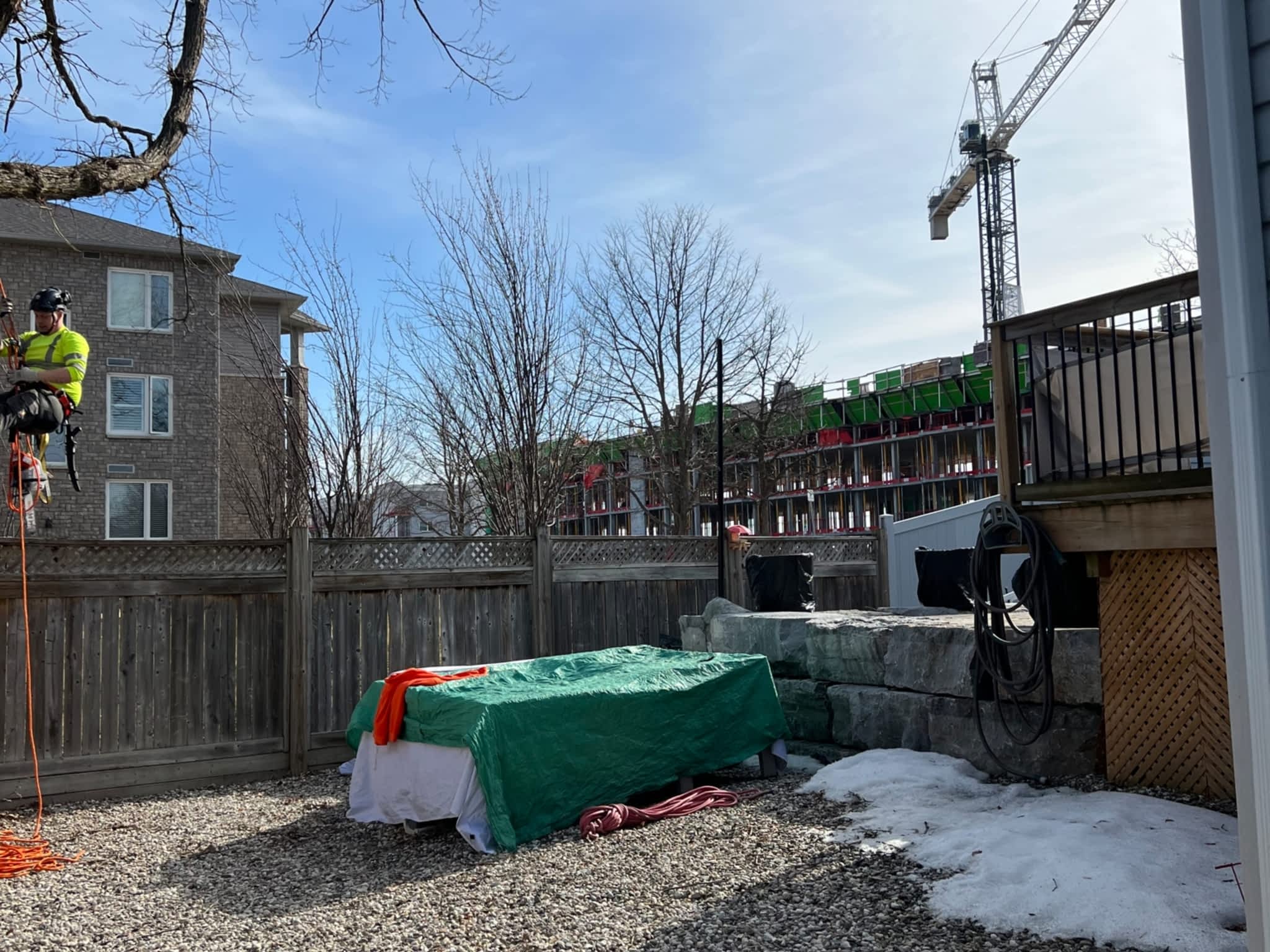 photo Juneau Tree Services