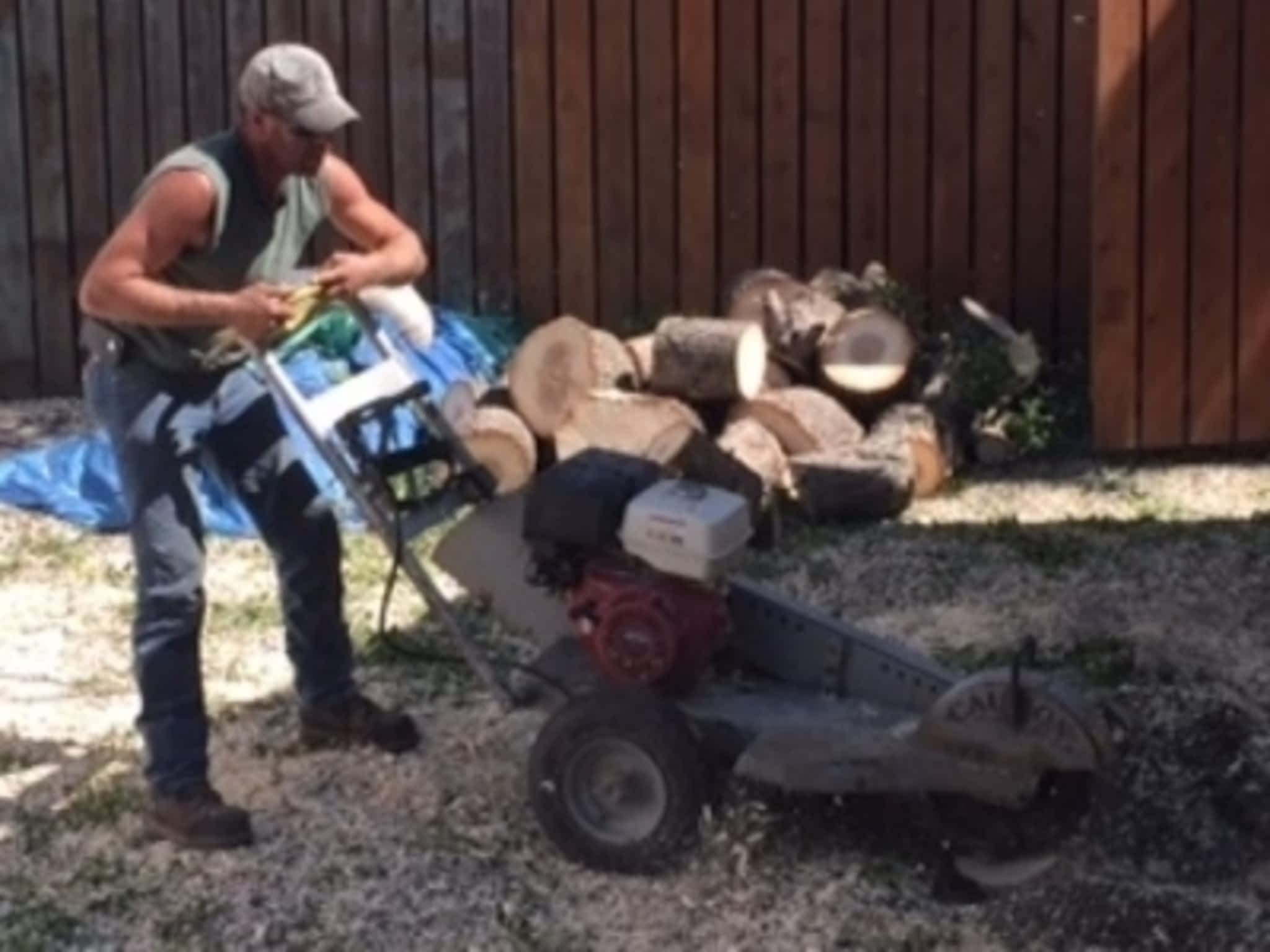 photo CarLen Tree Service