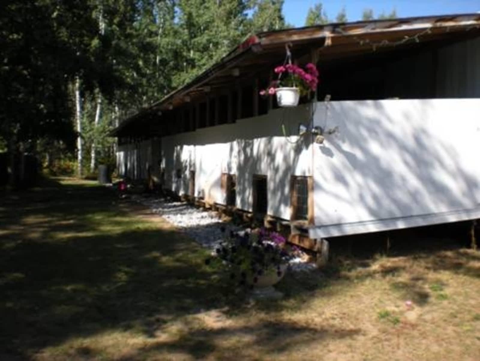 puppies r us near me