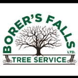 Borer's Falls Tree Service - Service d'entretien d'arbres