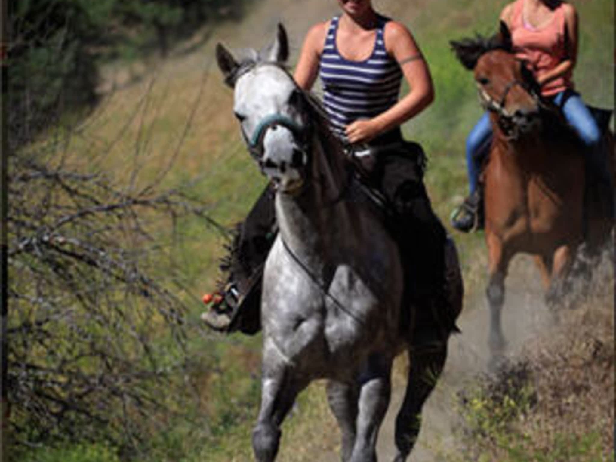 photo Okanagan Stables.com