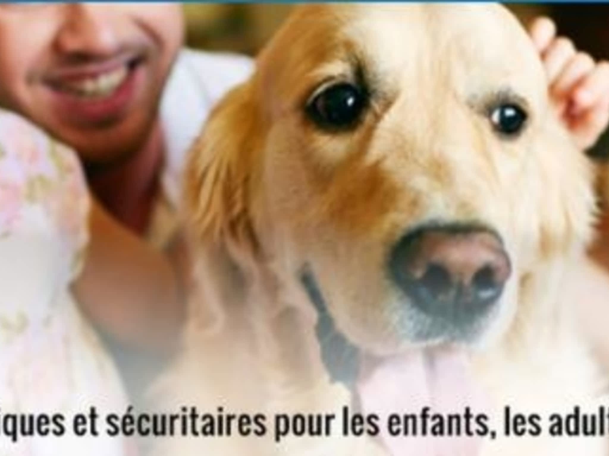 photo Extermination Dynamique