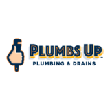 Voir le profil de Plumbs Up Plumbing & Drains - Erin