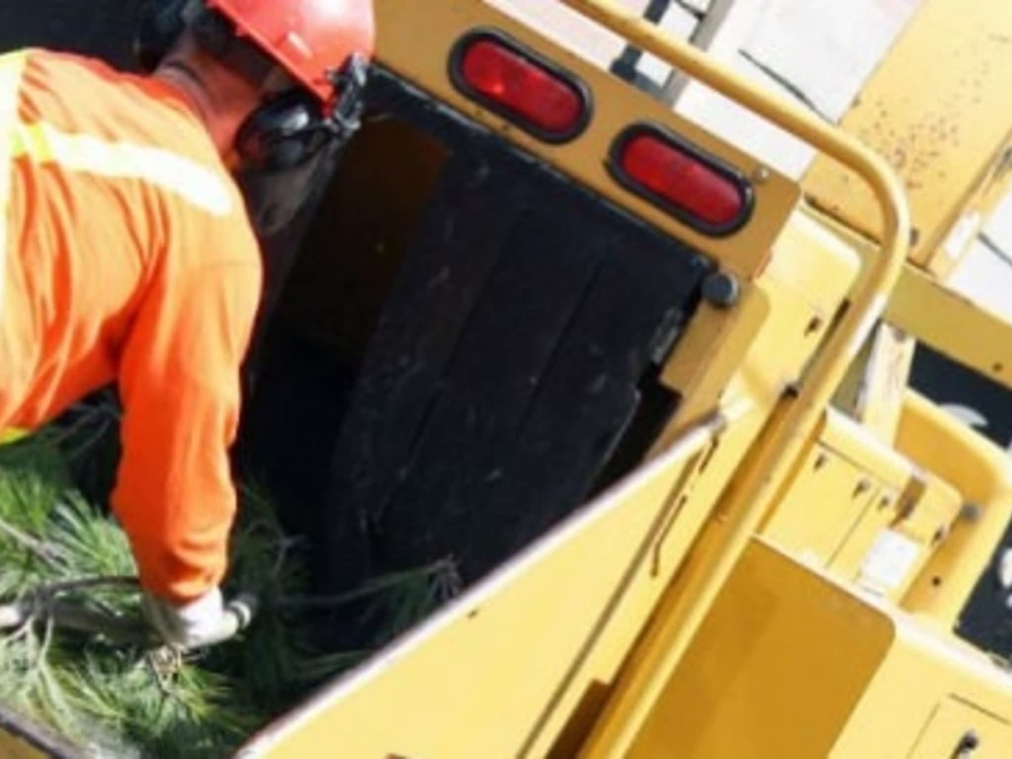 photo Ascend Tree Services