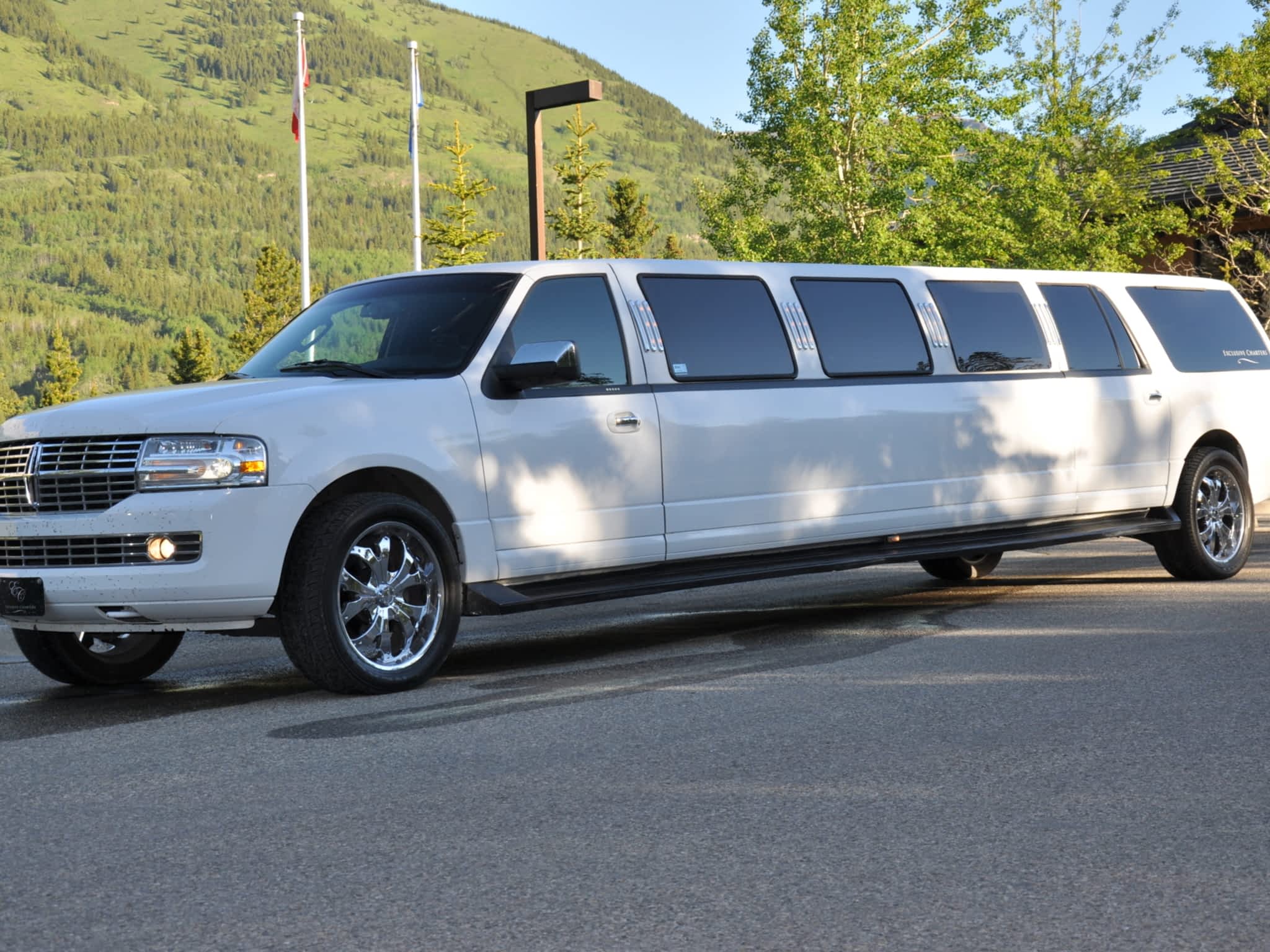 photo Unique Limousines