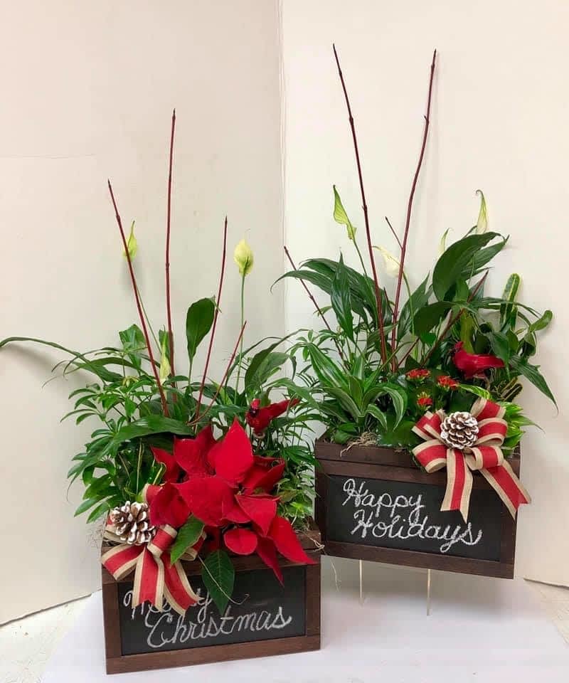 Russell's Flower Shop Hamilton, ON 1421 Main St E Canpages