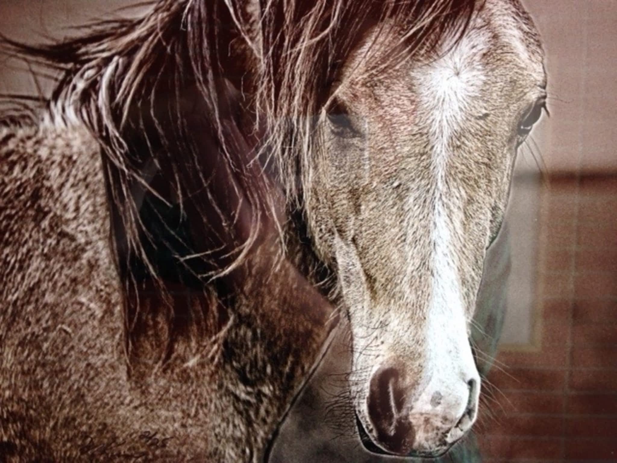 photo The Frame It Store