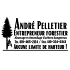 André Pelletier Entrepreneur Forestier - Service d'entretien d'arbres