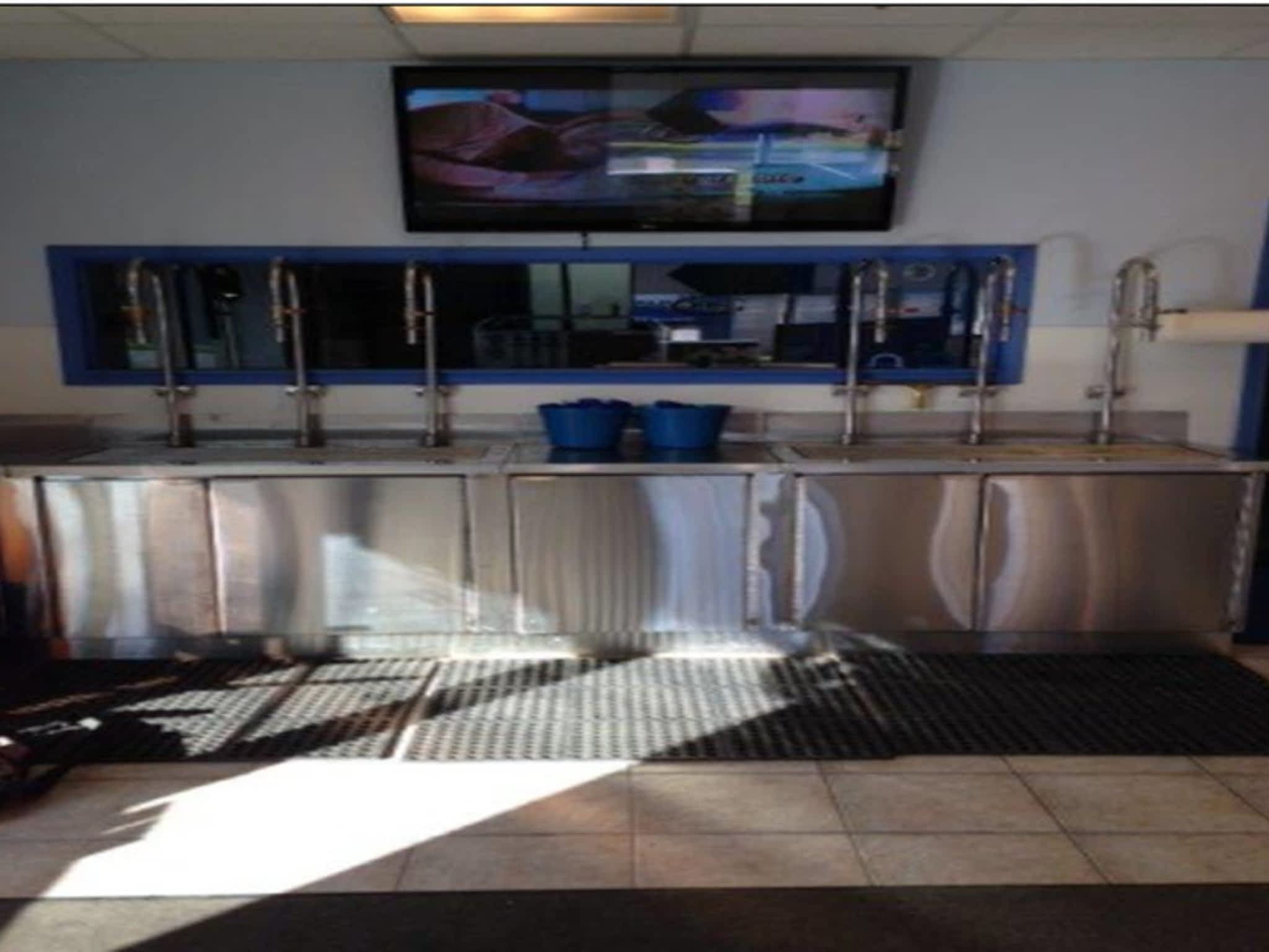 photo Grizzly Welding