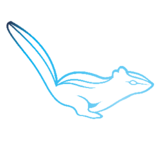 View Chip Monk’s Troy profile