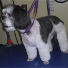 View Sheila's Pet Grooming’s Oakville profile