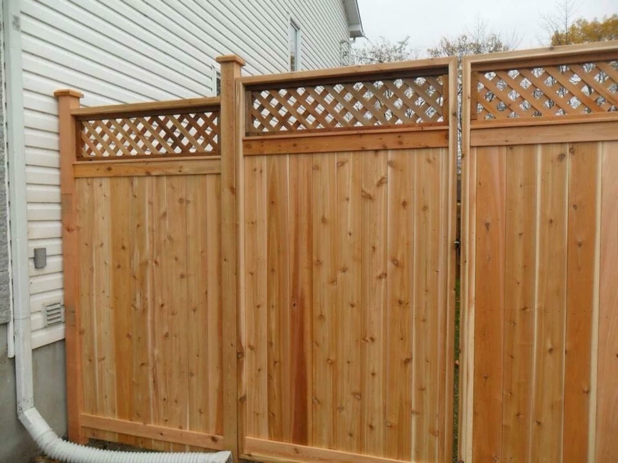 photo Evill Projects