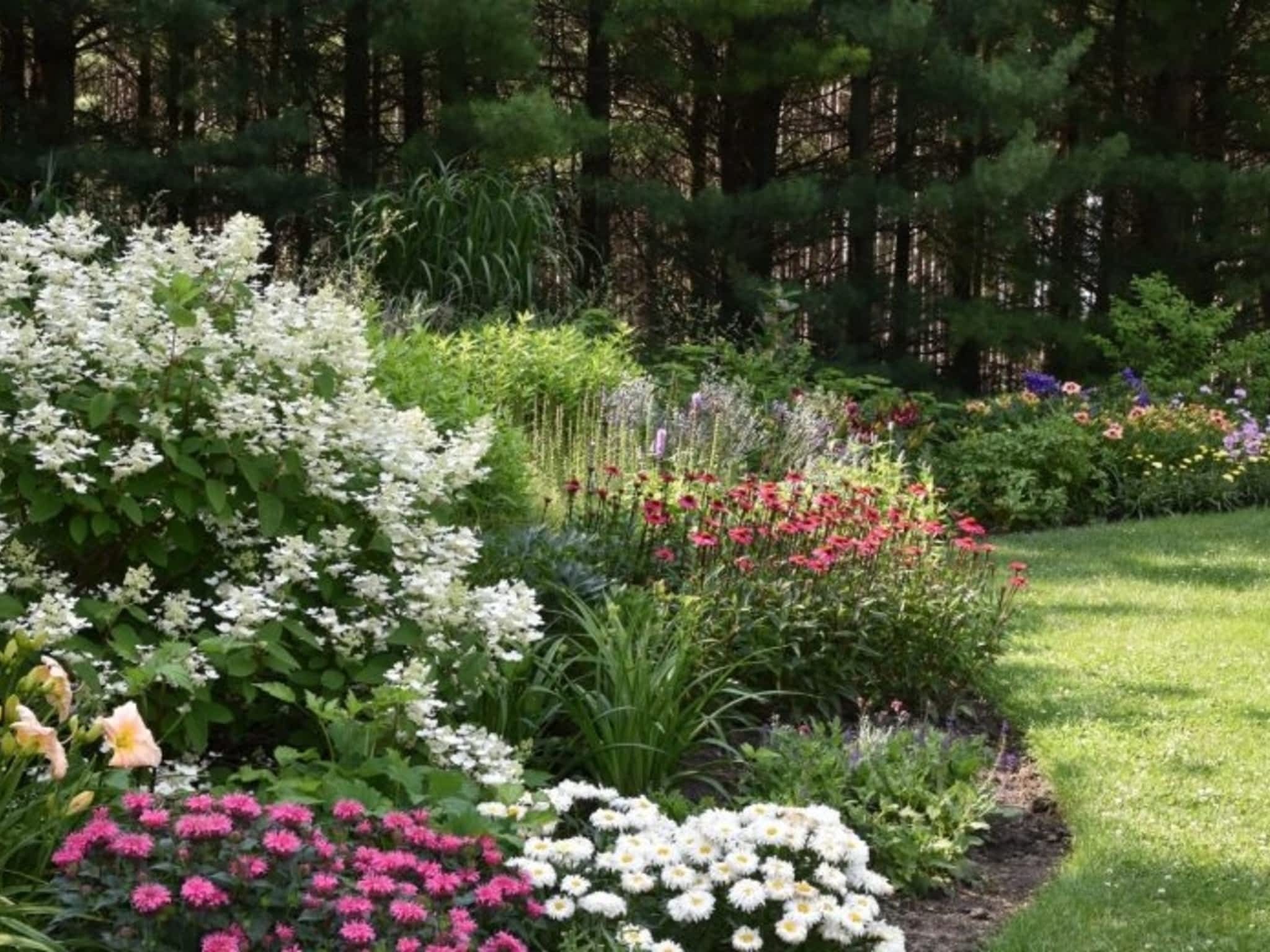 photo Plant Paradise Country Gardens