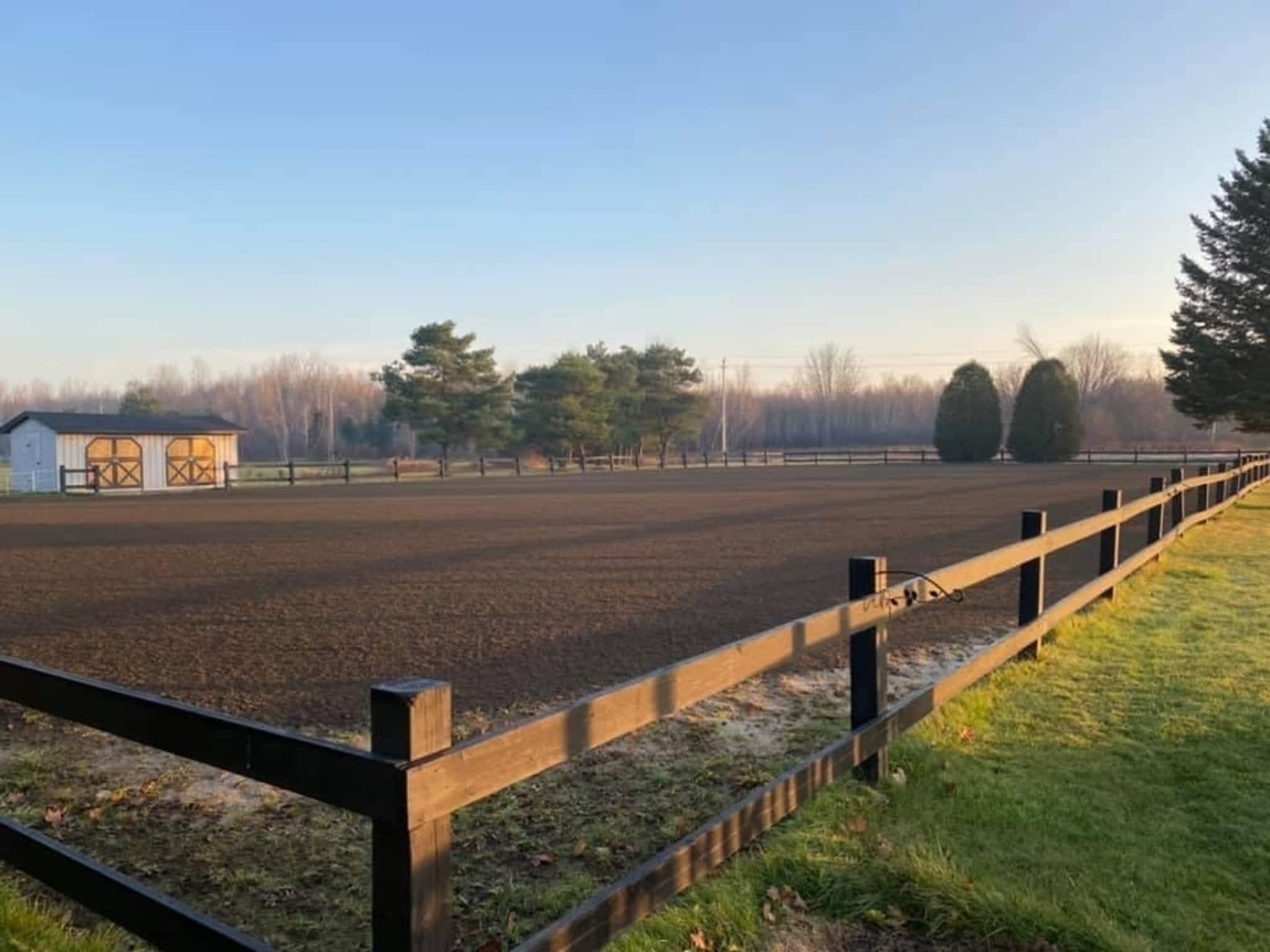 photo Wynbrook Equestrian Centre