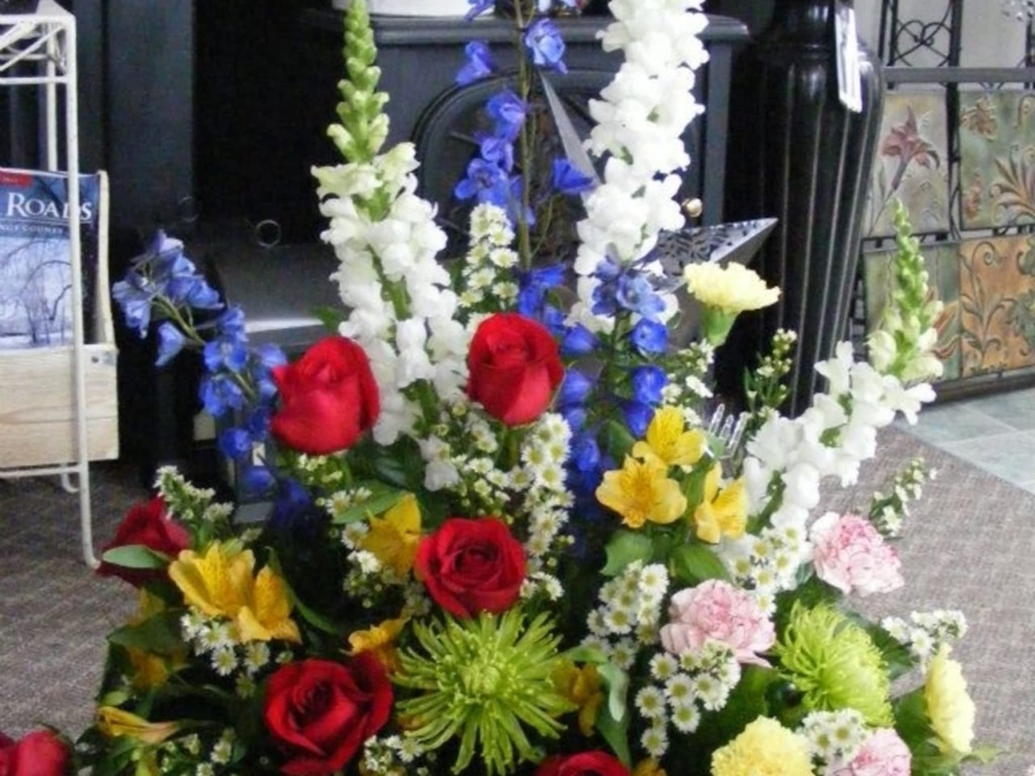 photo Blooms Flowers