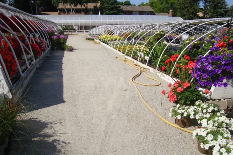 Springbank Greenhouses & Nursery - Mississauga, ON - 2011 Springbank Rd