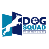 Dog Squad - Calgary Dog Trainer - Dog Training & Pet Obedience Schools