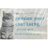 Pension pour Chat Lucky - Pet Sitting Service