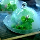 Restaurant Laurie Raphael - Restaurants