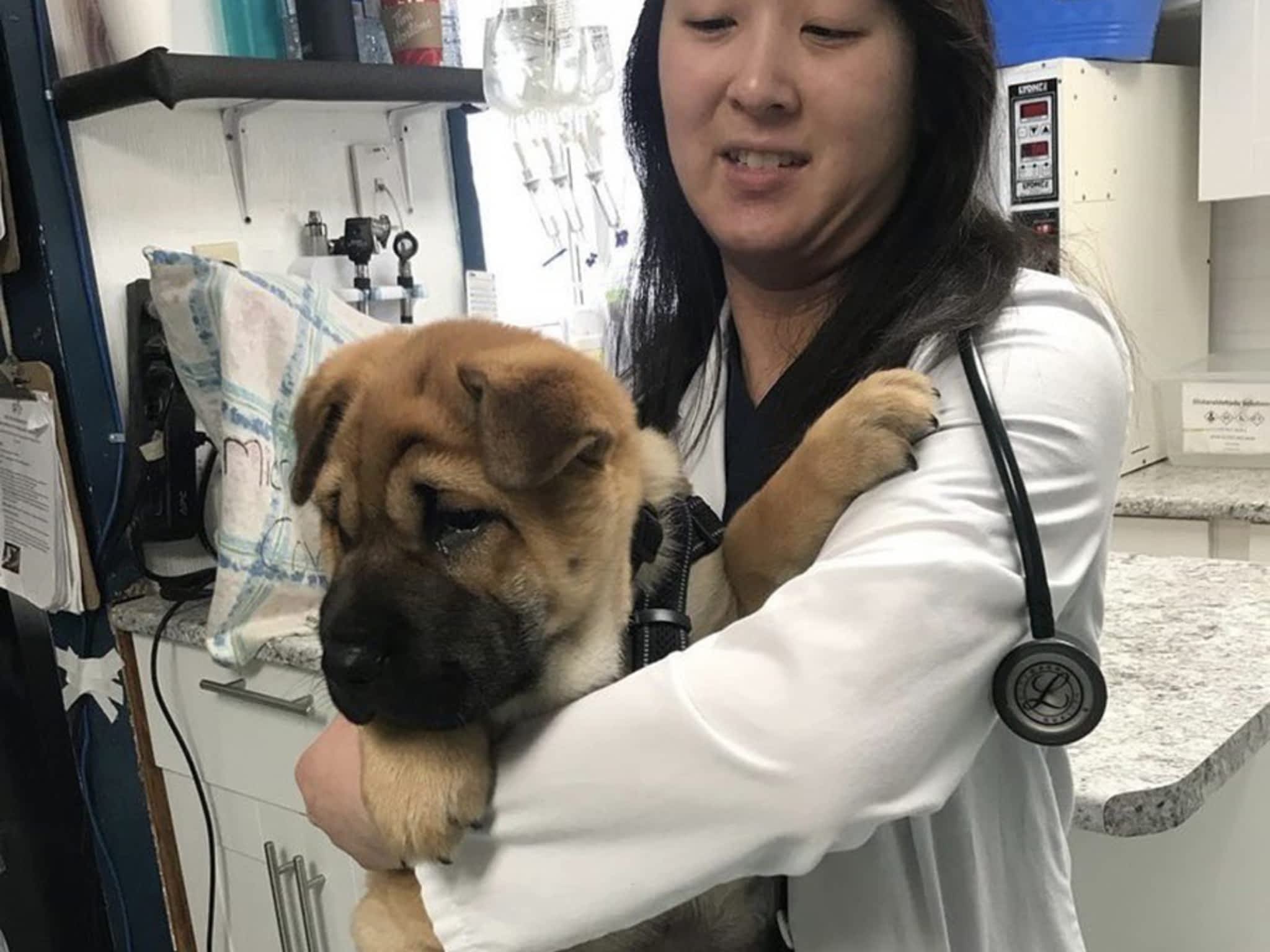 photo Cavan Hills Veterinary Services