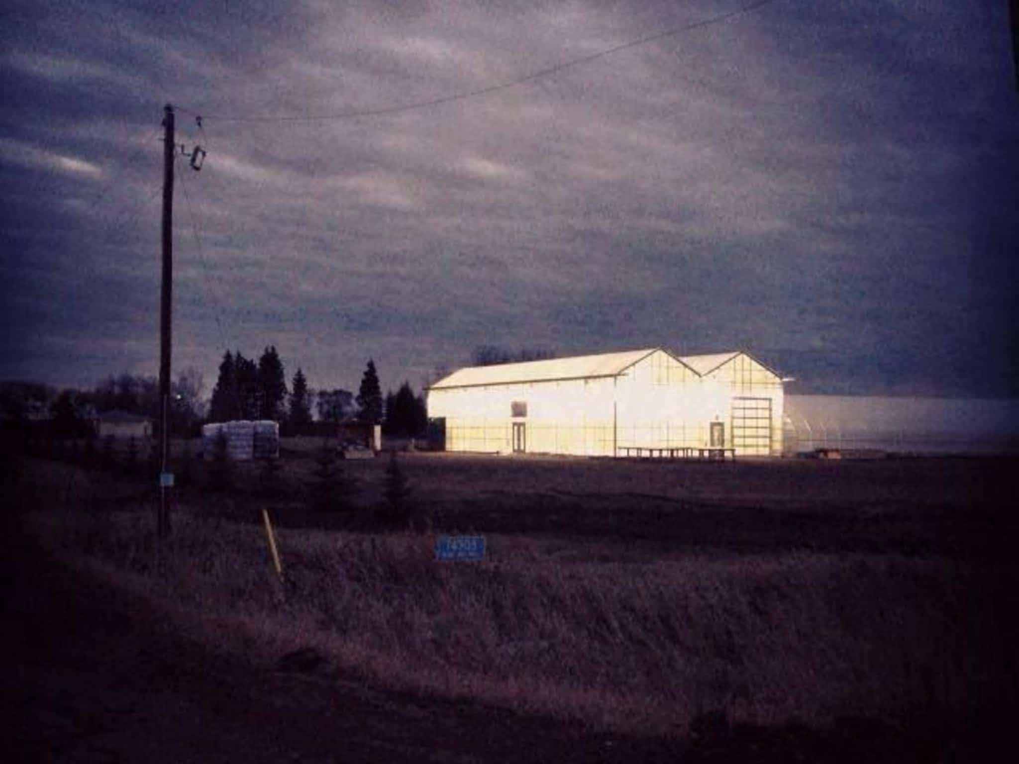 photo Amp'd Up Electric