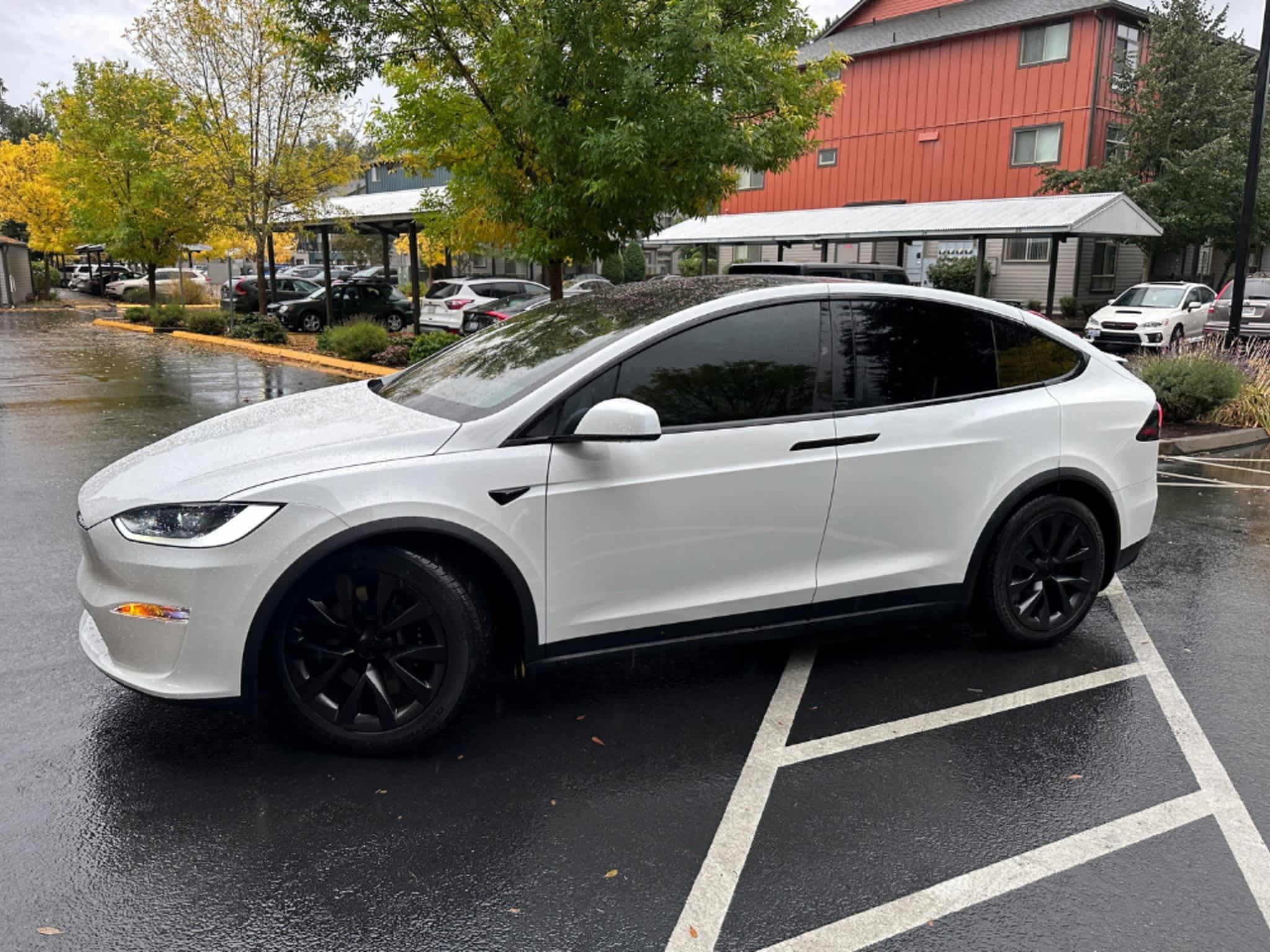 photo Tint Planet - Window Tinting PPF Wrap