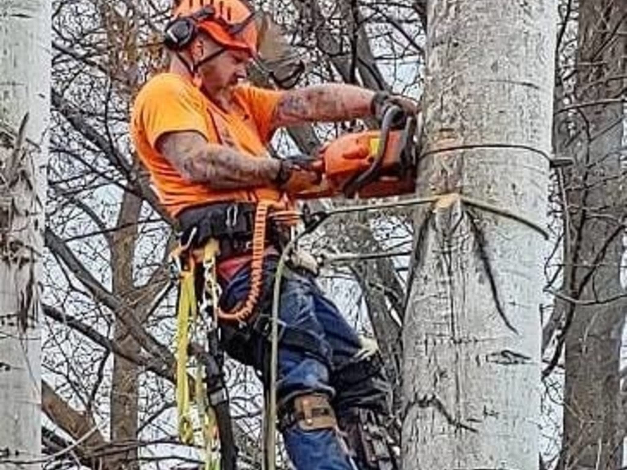photo Axe Point Tree Services