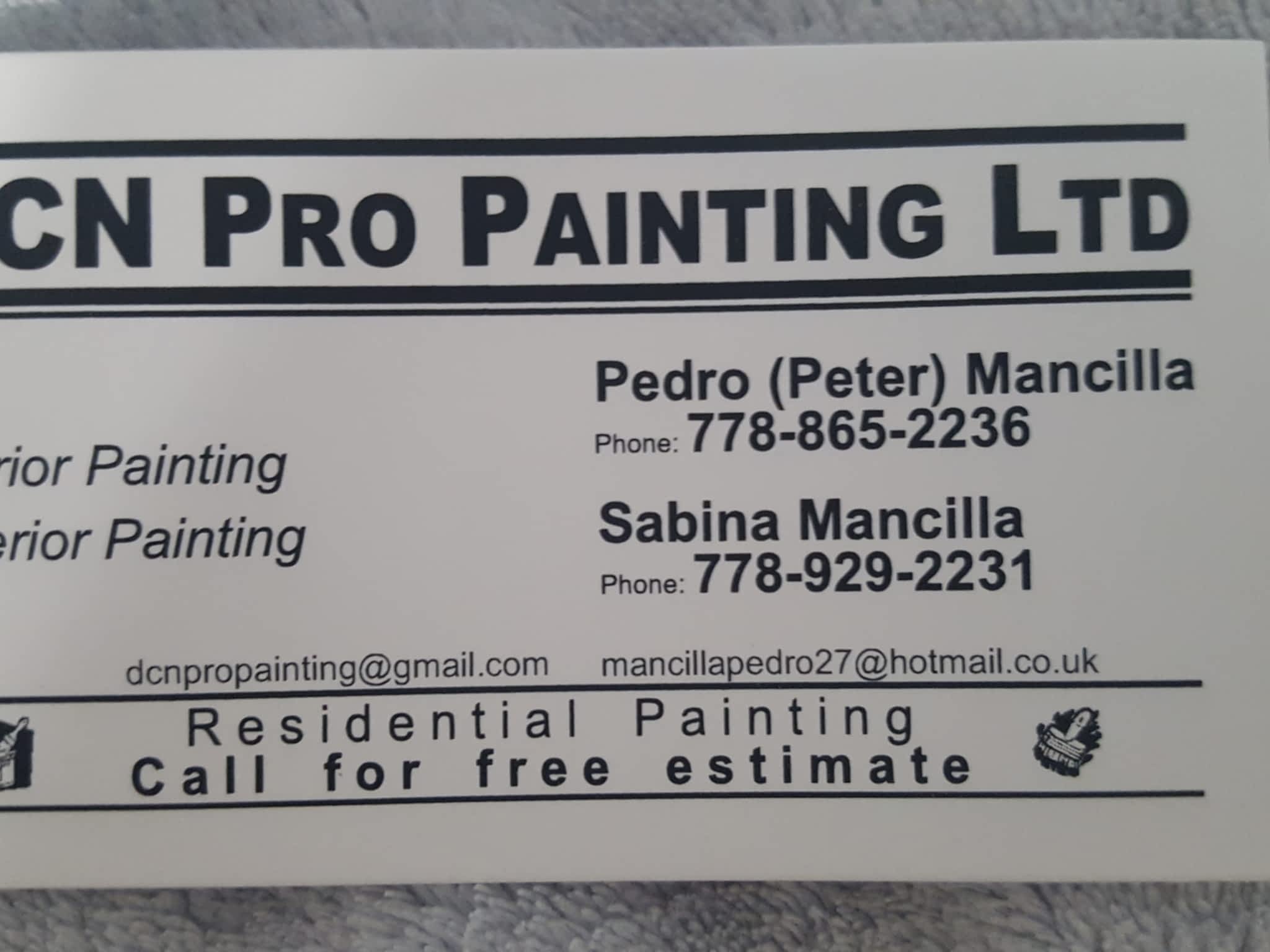 photo DCN Pro Painting