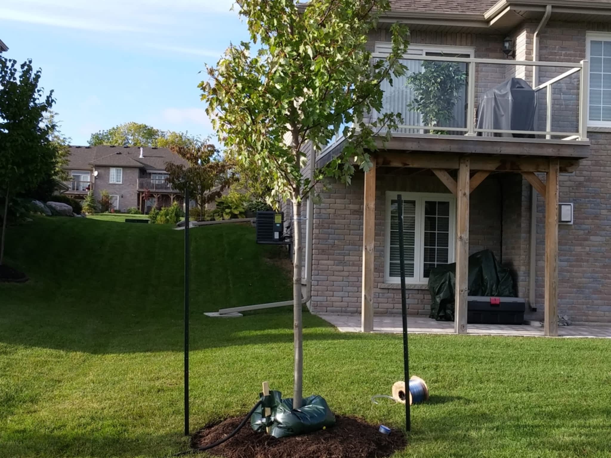 photo Logan Tree Experts