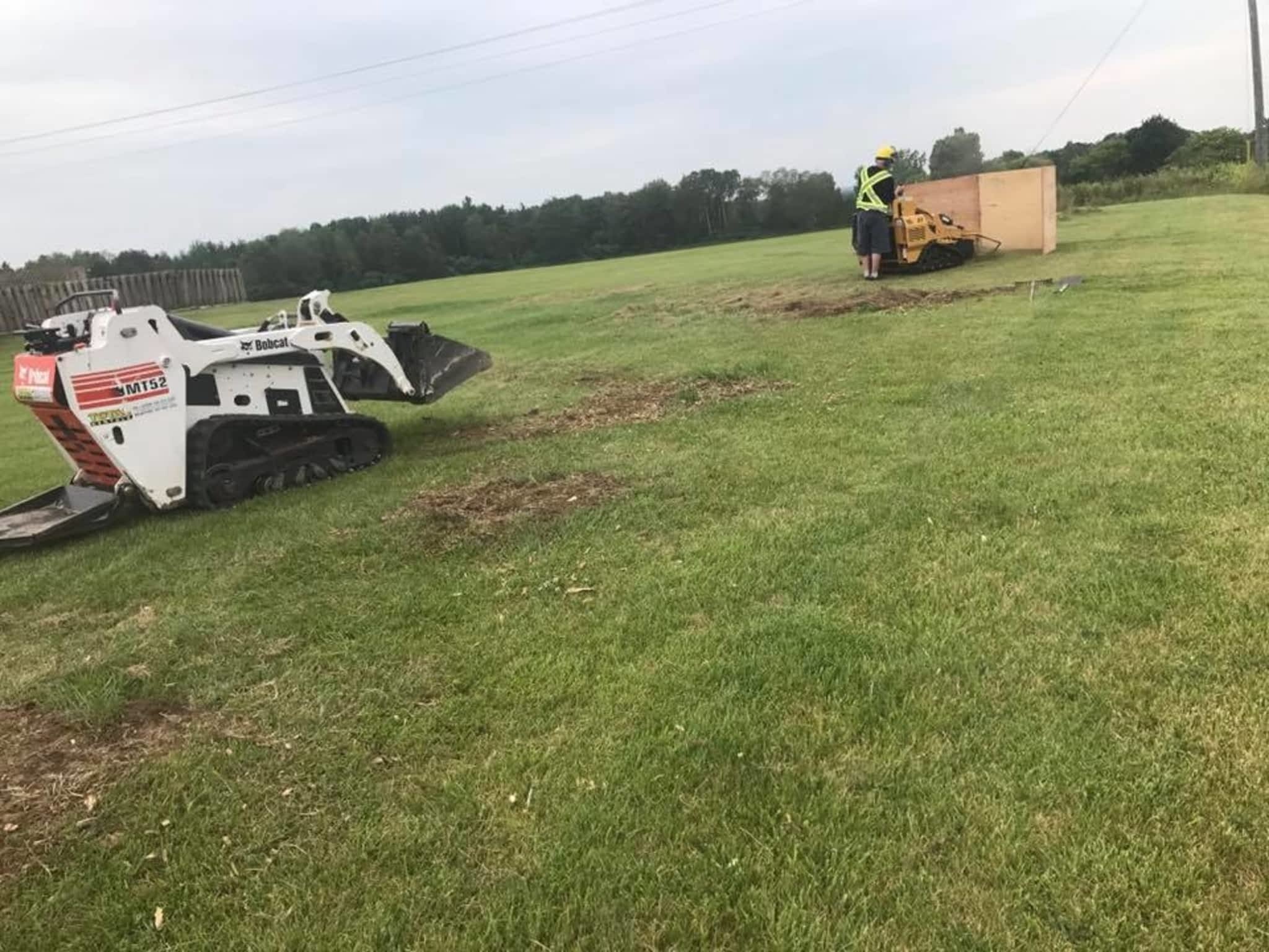 photo Redneck Tree Removal