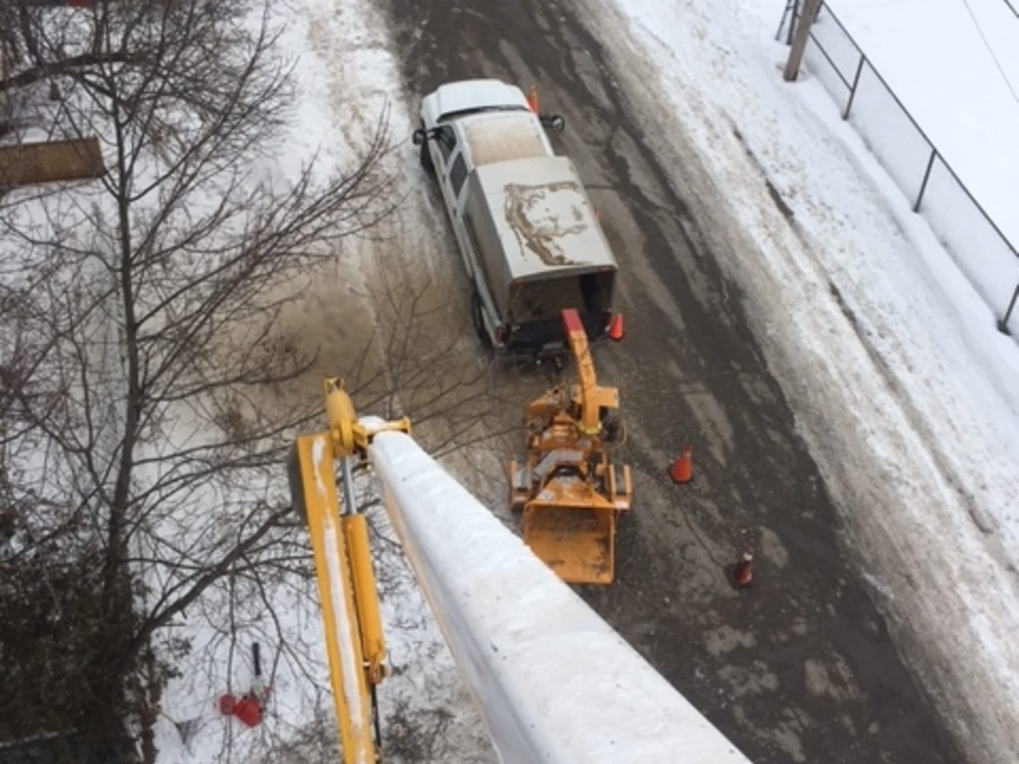 photo Deep Roots Quality Tree Services