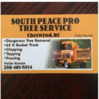 South Peace Pro Tree Service
