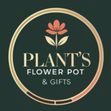 Plant's Flower Pot & Gifts - Fleuristes et magasins de fleurs