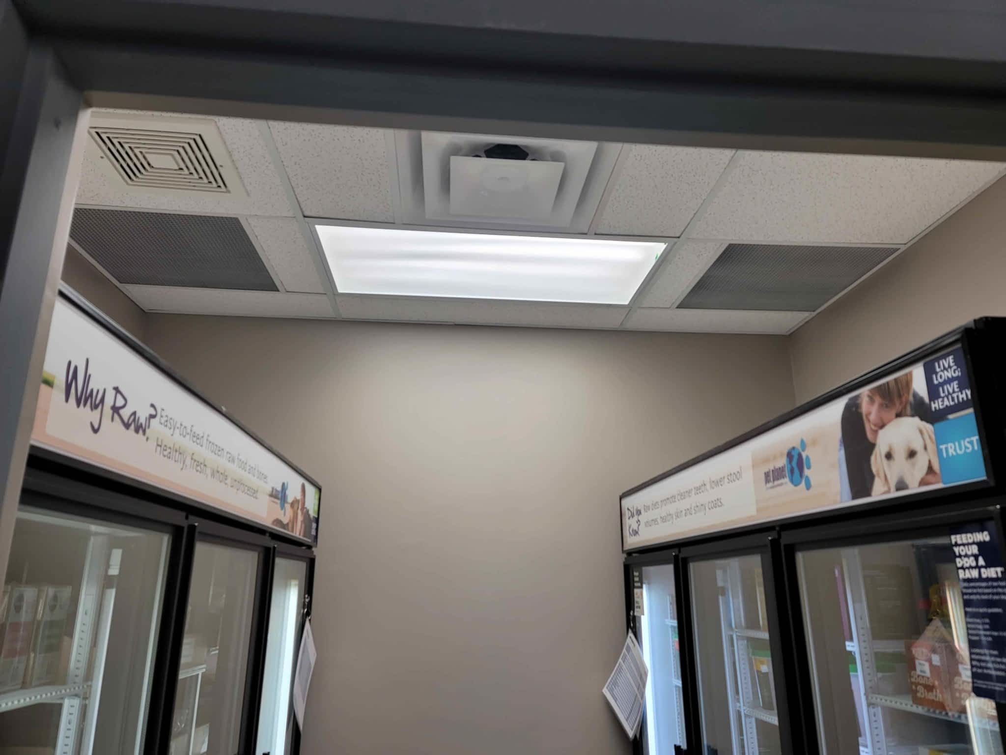 photo Rickman Electrical Services