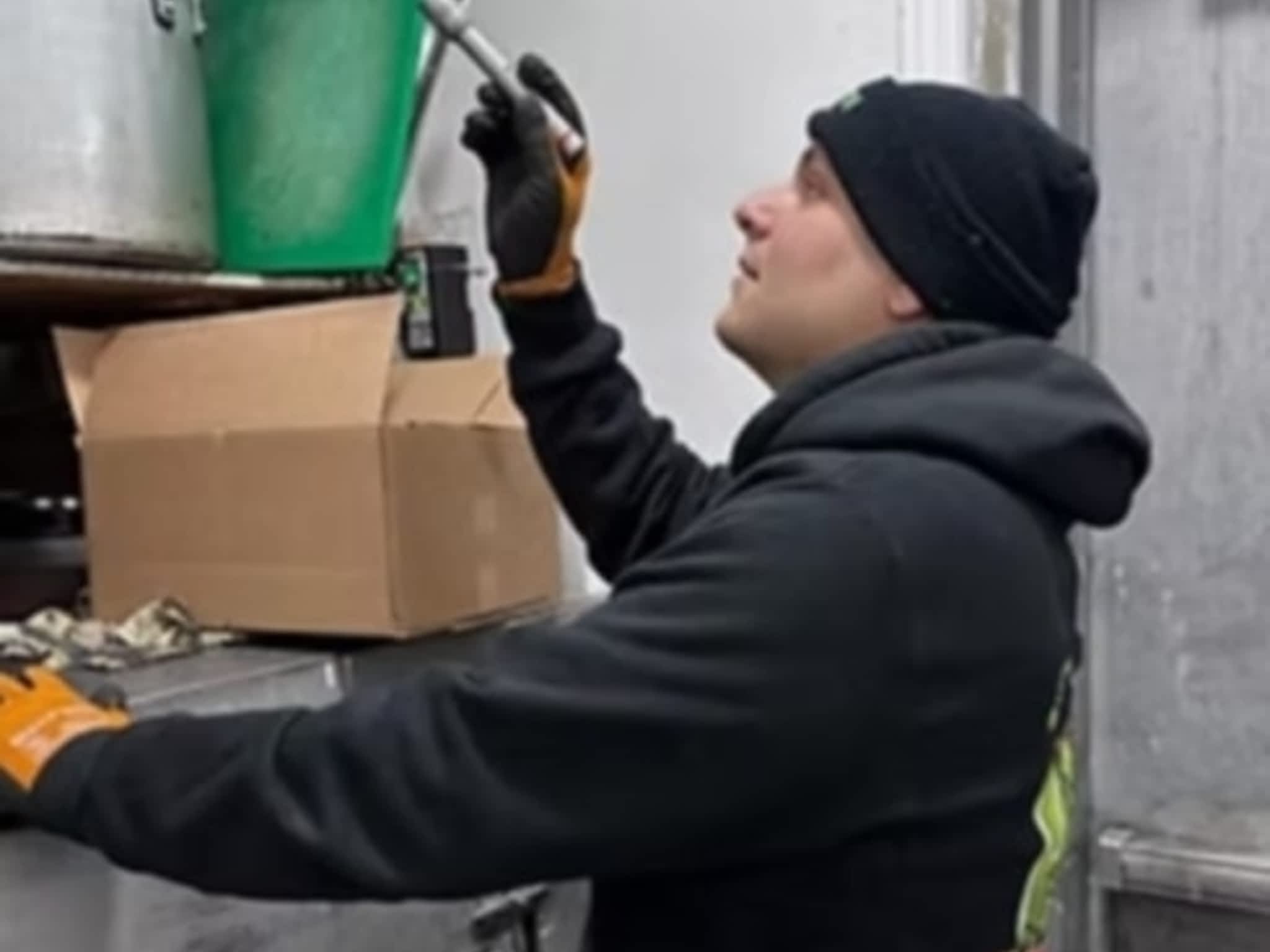 photo D Solution Extermination