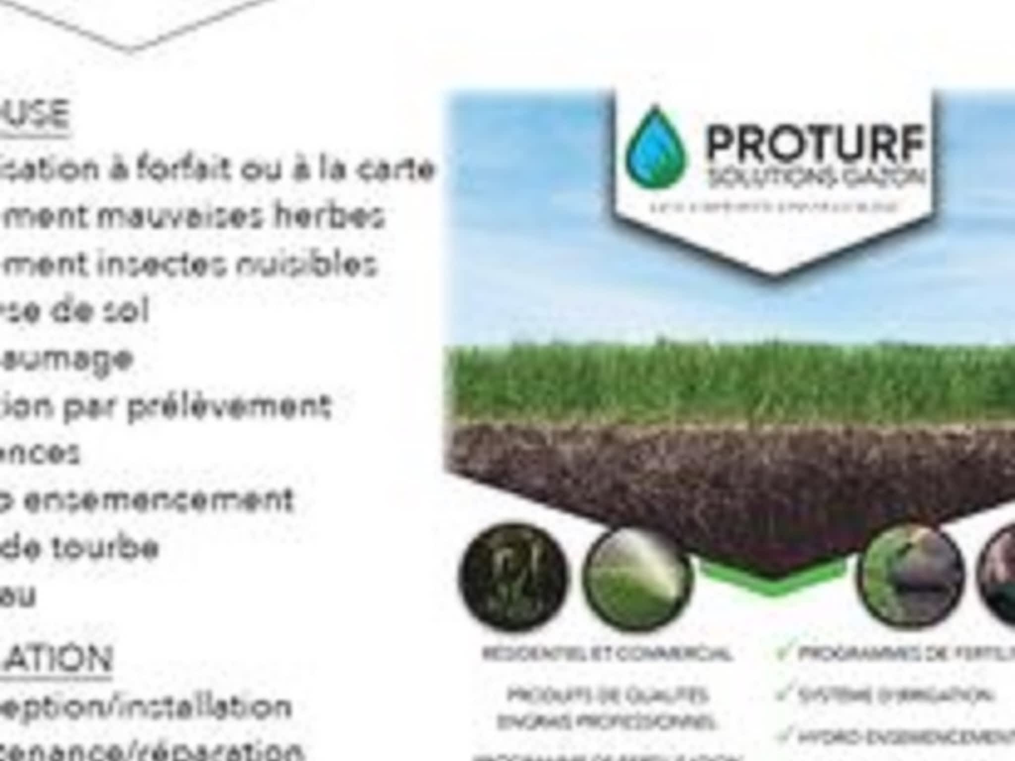 photo Proturf Solutions Gazon