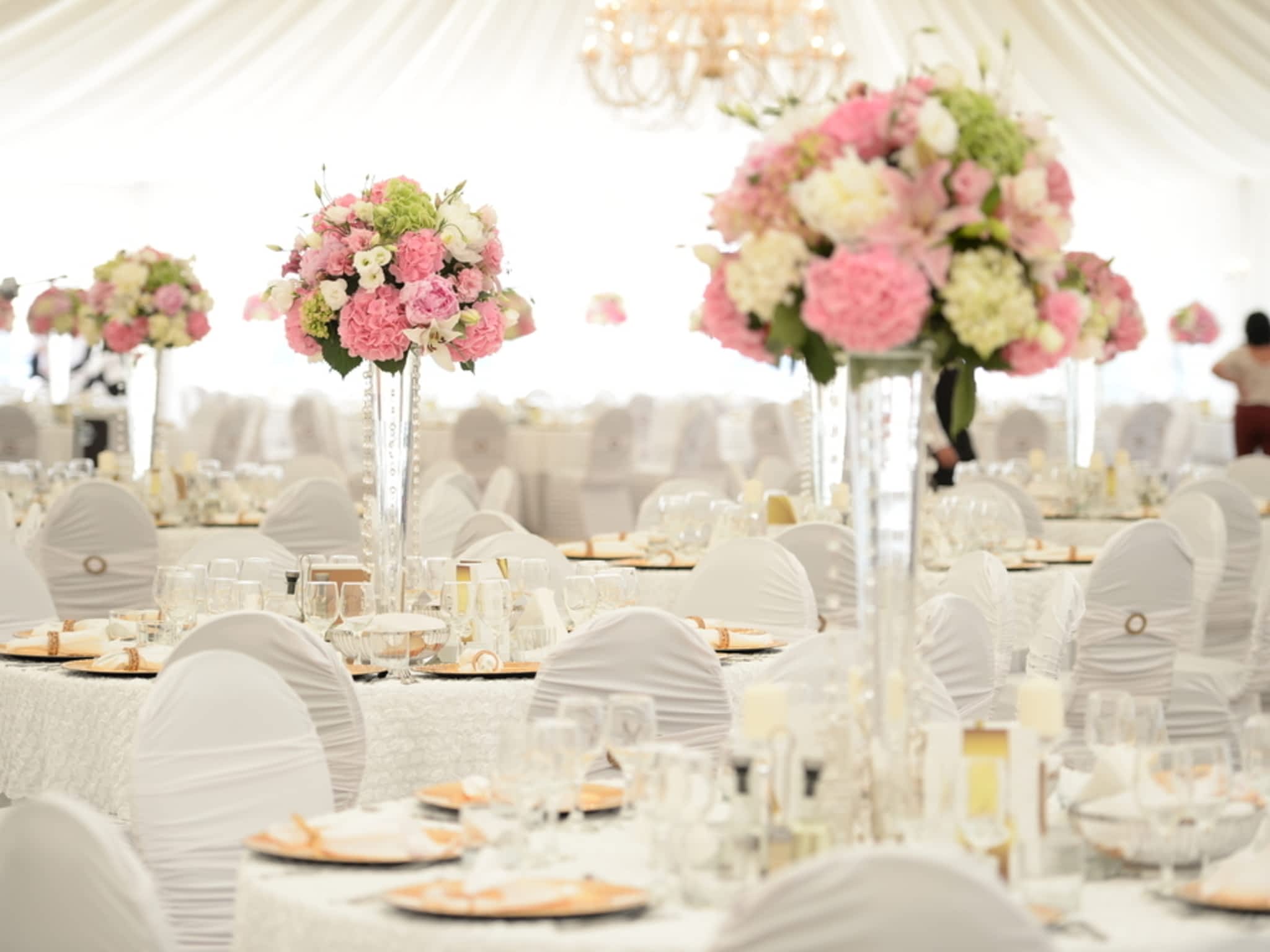 photo Thérapeute en relation d'aide