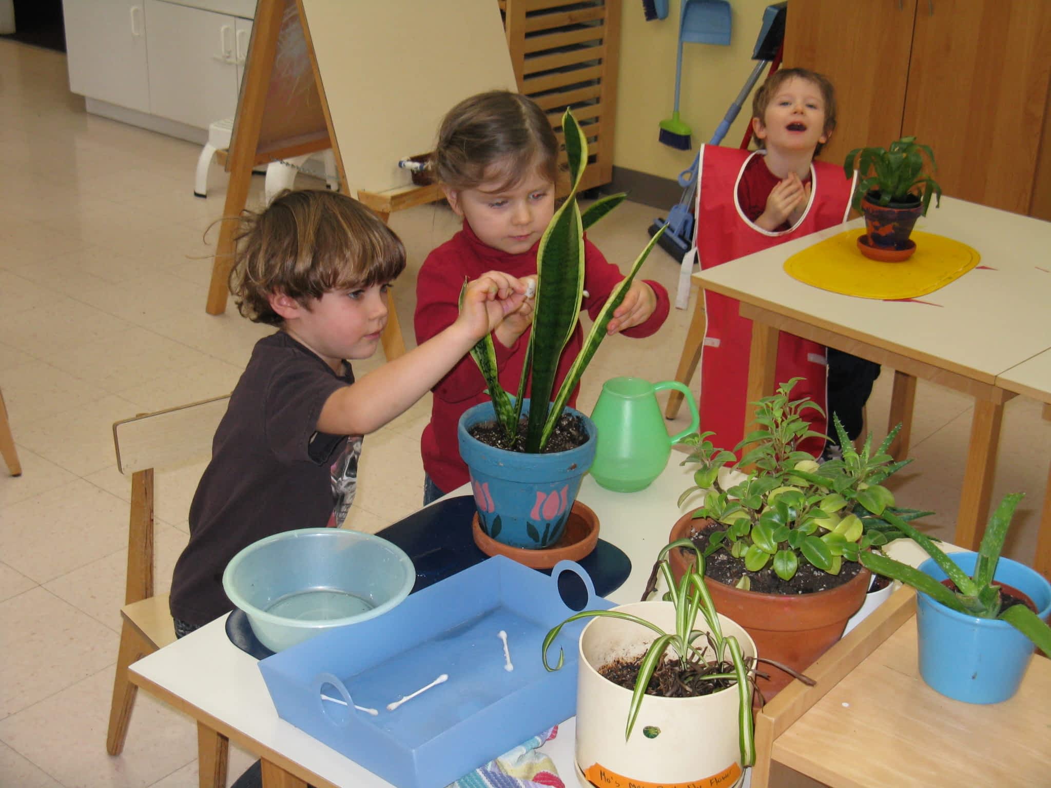 photo Tiddlycove Montessori School