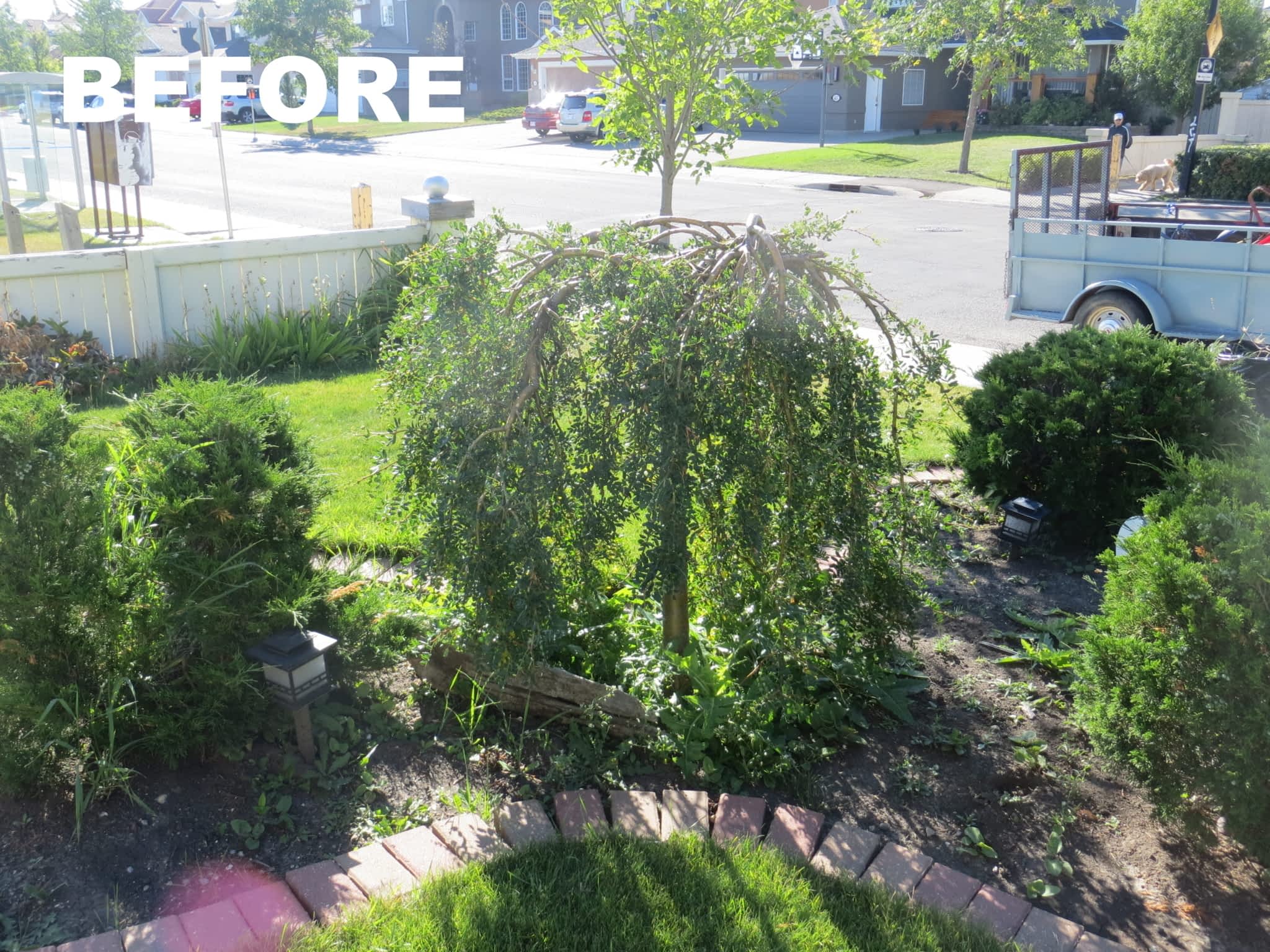 photo A Preferred Cut Landscaping