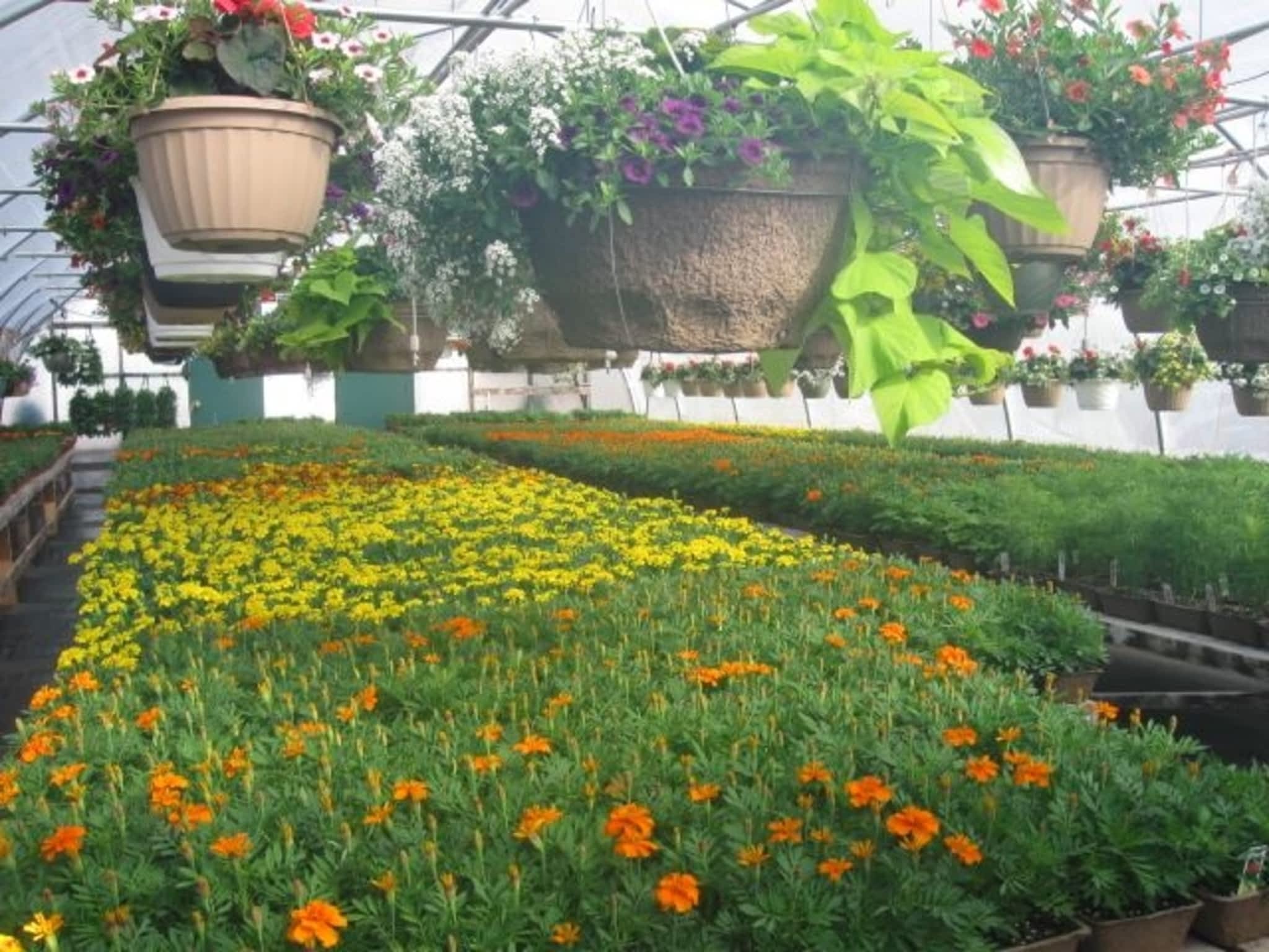 photo Beautiful Flowers Nursery