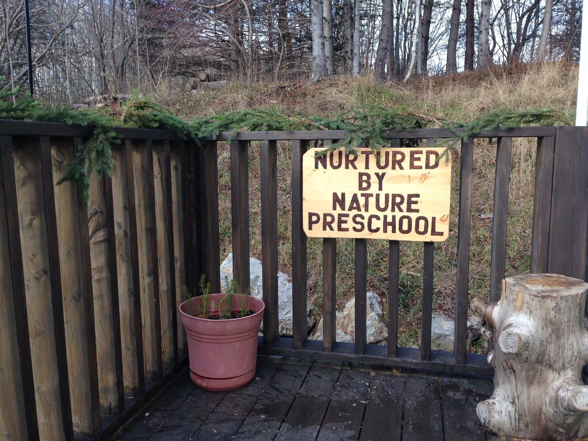 photo Nurtured by Nature Preschool