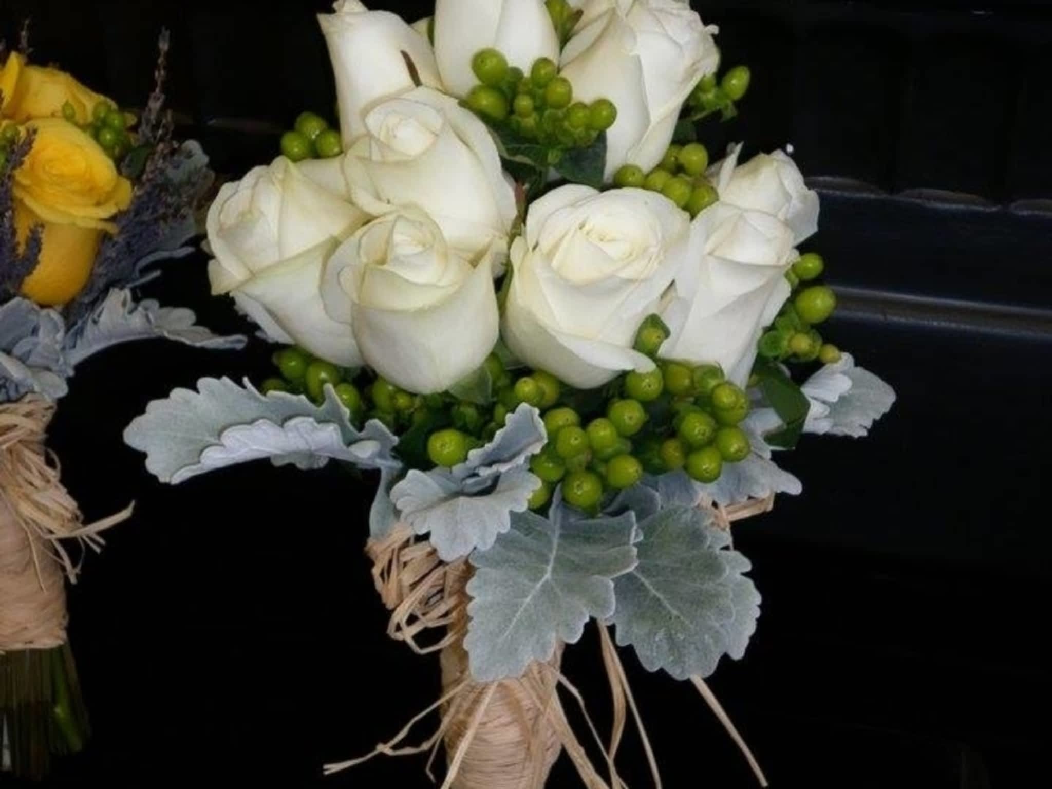 photo Blooms Flowers