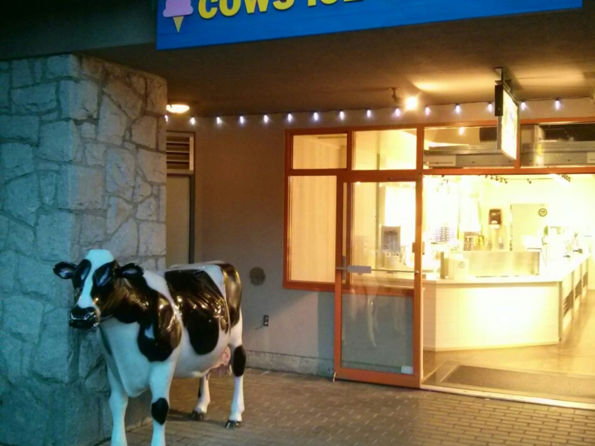 photo Cow's