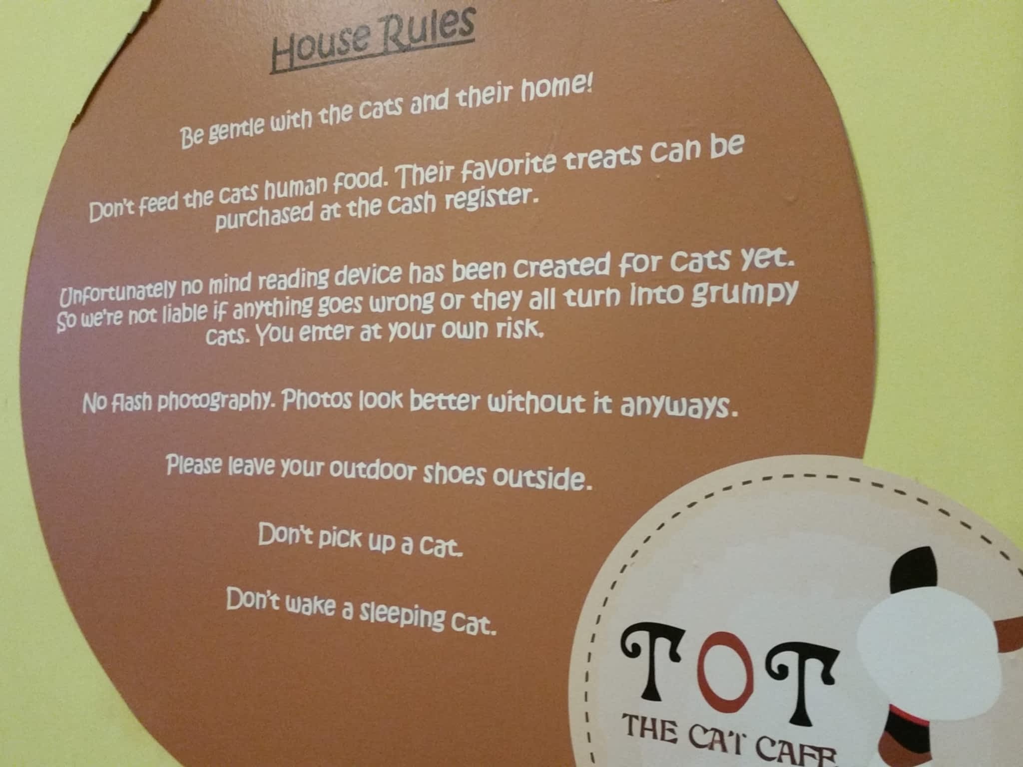 photo TOT The Cat Cafe